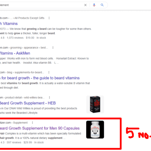 seo project for beardilizer