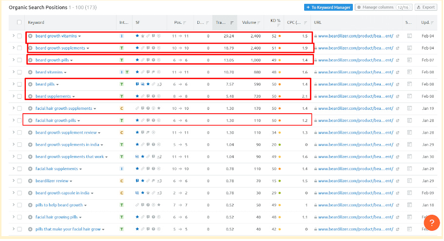 seo project for beardilizer