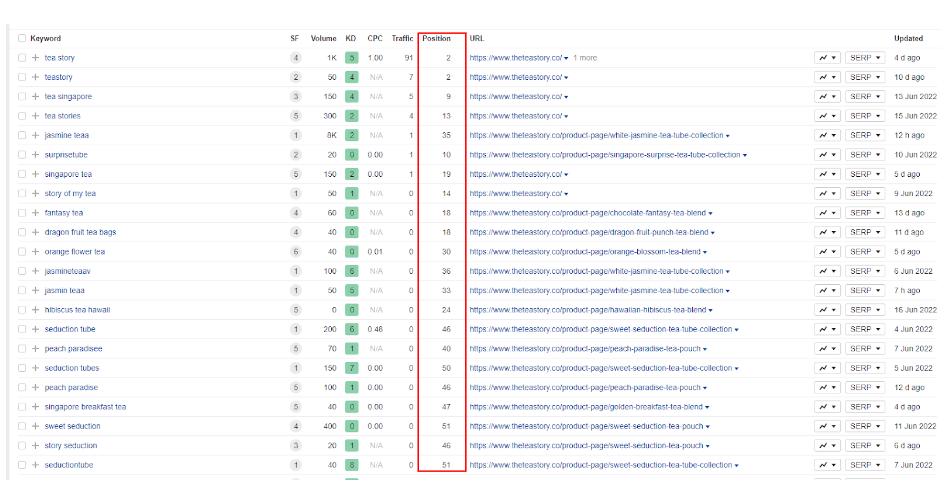 top keyword positions for theteastory - seo project